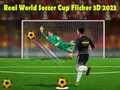 Spel Regte Wêreld Sokker Beker Flicker 3D 2023 aanlyn Spel Regte Wêreld Sokker Beker Flicker 3D 2023 aanlyn