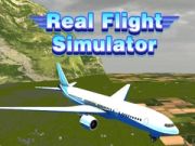 Spel Werklike Vliegsimulator aanlyn