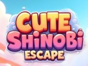 Spel Koue Shinobi Ontsnap aanlyn