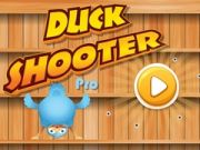 Spel Eend Skutter Pro aanlyn