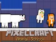 Spel PixelCraft Dier Skool aanlyn