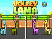 Spel Volley Lama aanlyn