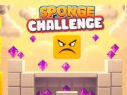 Spel Spons Uitdaging aanlyn