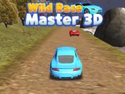 Spel Wilde Wedloop Meester 3D aanlyn