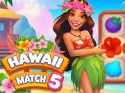 Spel Hawaï Wedstryd 5 aanlyn