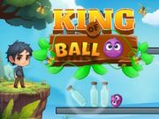 Spel Koning van die Bal aanlyn