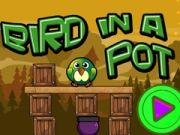 Spel Voël in 'n pot aanlyn
