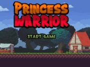 Spel Prinses vegter aanlyn