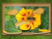 Spel Vind & Herstel: Verborge legkaart aanlyn