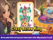 Spel Crazy Screw King aanlyn