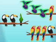 Spel Bird sorteer uitdagings aanlyn