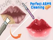 Spel Perfekte ASMR skoonmaak aanlyn