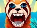 Spel Word 'n Diere Tandarts aanlyn