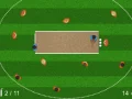 Spel Quicket aanlyn