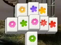 Spel Twee Pyle aanlyn
