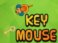 Spel Sleutel Muis aanlyn