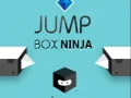 Spel Springdoos Ninja aanlyn