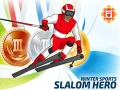 Spel Winter Sport: Slalom Hero aanlyn