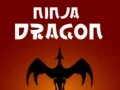 Spel Ninja Draak aanlyn Spel Ninja Draak aanlyn