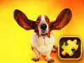 Spel Grappige Honde-puzzel aanlyn