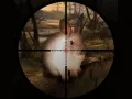 Spel Klassieke Jakkals Sniper Jag 2019 aanlyn