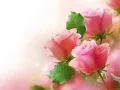 Spel Pienkrose aanlyn Spel Pienkrose aanlyn