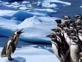 Spel Pinguïns Gly aanlyn Spel Pinguïns Gly aanlyn