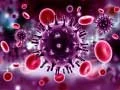 Spel Koronavirus Legkaart aanlyn Spel Koronavirus Legkaart aanlyn