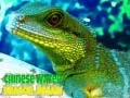 Spel Chinese Water Dragon Puzzel aanlyn Spel Chinese Water Dragon Puzzel aanlyn