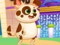 Spel Pragtige Virtuele Hond aanlyn