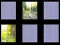 Spel Natuur Geheue aanlyn