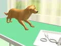Spel Pootsorg aanlyn