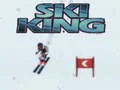 Spel Ski Koning aanlyn