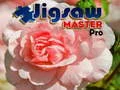Spel Puzzel Meester Pro aanlyn