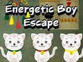 Spel Energieke Seun Ontsnap aanlyn