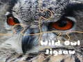 Spel Wilde Uil Legkaart aanlyn Spel Wilde Uil Legkaart aanlyn