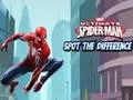 Spel Spider-Man Vind die Verskille aanlyn