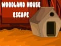 Spel Ontvlugting uit die Bos Huis aanlyn