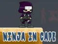 Spel Ninja in Kaap aanlyn