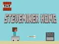 Spel Steveminer Tuis aanlyn