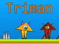 Spel Triman aanlyn