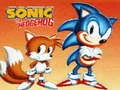 Spel Sonic die Stekelvark aanlyn Spel Sonic die Stekelvark aanlyn