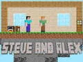Spel Steve en Alex aanlyn