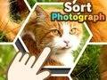 Spel Sortering van foto's aanlyn Spel Sortering van foto's aanlyn