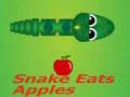 Spel Slang eet appel aanlyn