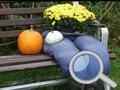 Spel Herfs Tuin: Vind 100 Skoenlapper aanlyn Spel Herfs Tuin: Vind 100 Skoenlapper aanlyn