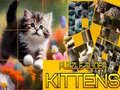 Spel Raaisels Katties Wat Gly aanlyn Spel Raaisels Katties Wat Gly aanlyn