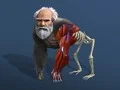 Spel Slaap Evolusie: Van Sel na Mens aanlyn Spel Slaap Evolusie: Van Sel na Mens aanlyn