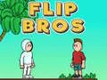 Spel Flip Broers aanlyn Spel Flip Broers aanlyn