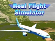 Spel Werklike Vliegsimulator aanlyn